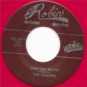 The Sequins - Don't Fall In Love mp3
