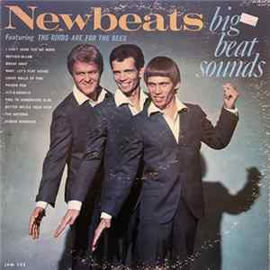 The Newbeats - Big Beat Sounds mp3