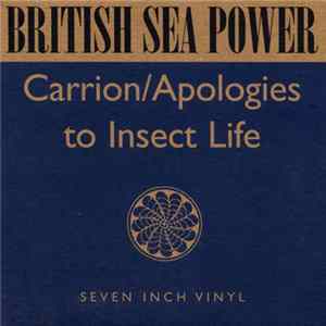 British Sea Power - Carrion / Apologies To Insect Life mp3