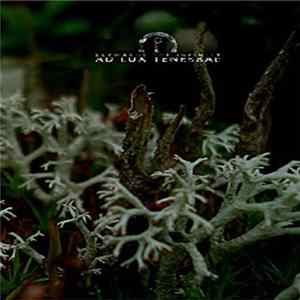 Closing The Eternity & Ad Lux Tenebrae - Skywards The Infinity mp3