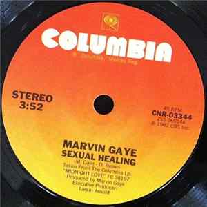Marvin Gaye - Sexual Healing mp3