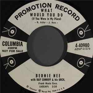 Bernie Nee - What Would You Do (If You Were In My Place) mp3