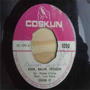 Şükran Ay - Arım, Balım, Peteğim mp3