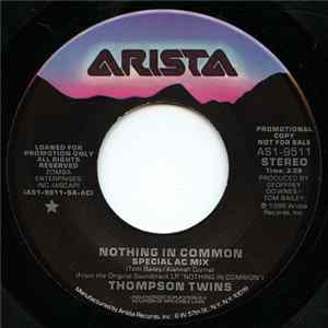 Thompson Twins - Nothing In Common mp3
