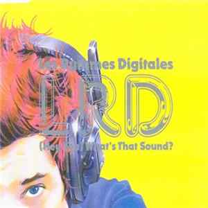 Les Rythmes Digitales - (Hey You) What's That Sound? mp3