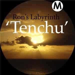 Ron's Labyrinth - Tenchu mp3