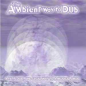 Various - The Ambient Way To Dub mp3