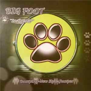 Big Foot - In The Air mp3