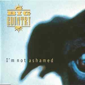 Big Country - I'm Not Ashamed mp3