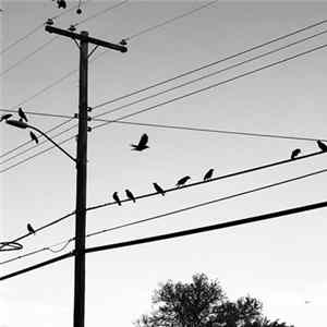 Ross Hammond - Getting Out Of The Grey mp3