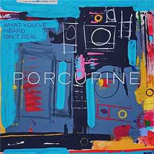 Porcupine - What You've Heard Isn't Real mp3