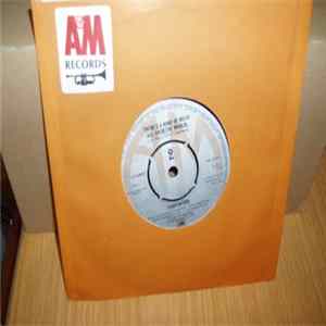 Carpenters - There's A Kind Of Hush (All Over The World) / (I'm Caught Between) Goodbye And I Love You mp3