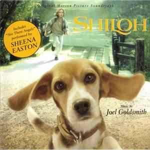 Joel Goldsmith - Shiloh mp3
