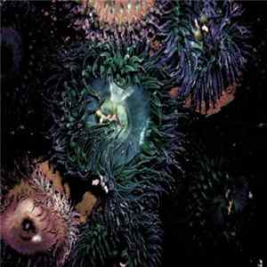 Liife - By The Waters The Trees mp3