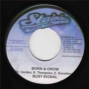 Busy Signal - Born & Grow mp3