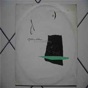 Peter Cetera - One More Story mp3