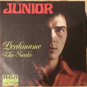 Junior - Perdóname / The Snake mp3