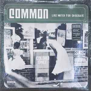 Common - Like Water For Chocolate mp3