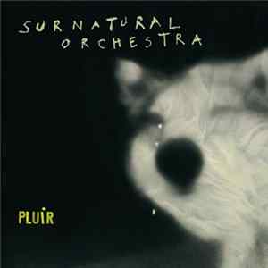 Surnatural Orchestra - Pluir mp3