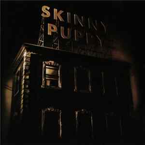 Skinny Puppy - The Process mp3