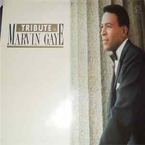 Marvin Gaye - A Tribute To Marvin Gaye mp3