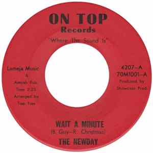 The Newday - Wait A Minute mp3