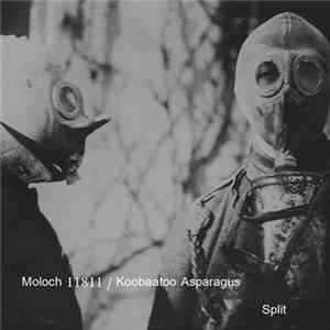 Moloch 11811, Koobaatoo Asparagus - Split mp3