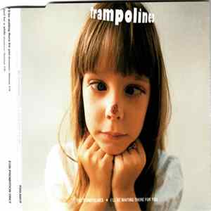 The Trampolines - I'll Be Waiting There For You mp3