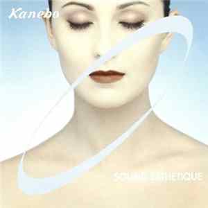 Unknown Artist - Kanebo Sound Esthetique mp3