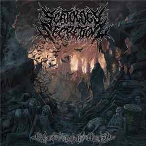 Scatology Secretion - The Ramifications Of A Global Calamity mp3