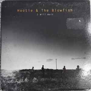 Hootie & The Blowfish - I Will Wait mp3