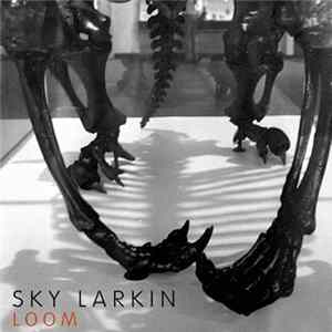 Sky Larkin - Loom mp3