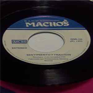 Banda Machos - La culebra / Sentimiento y traicion mp3