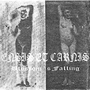 Ensis et Carnis - Blossom's Falling mp3