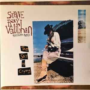 Stevie Ray Vaughan And Double Trouble - The Sky Is Crying mp3