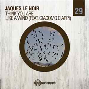 Jaques Le Noir - Think You Are mp3