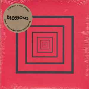 Blossoms - You Pulled A Gun On Me mp3