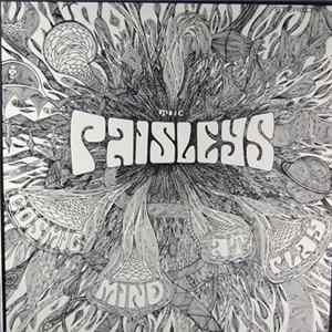 The Paisleys - Cosmic Mind At Play mp3