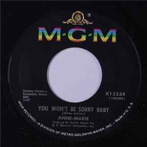 Anne-Marie - Diary / You Won't Be Sorry Baby mp3