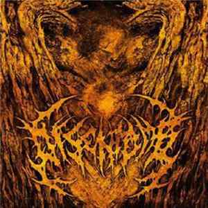 Disentomb - 2009 Promo mp3