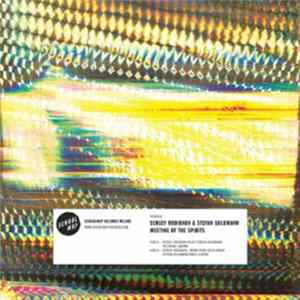 Sergey Rodionov & Stefan Goldmann - Meeting Of The Spirits mp3