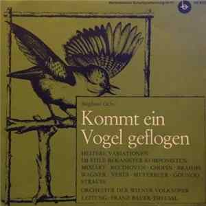 Siegfried Ochs - Kommt Ein Vogel Geflogen mp3