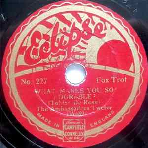 The Ambassadors Twelve - What Makes You So Adorable? / Now And Then mp3