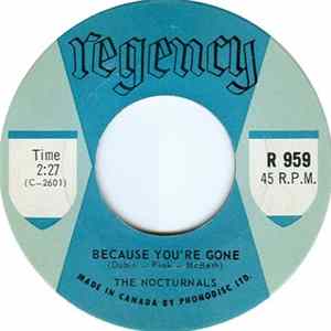 The Nocturnals - Because You're Gone / Can It Be True mp3