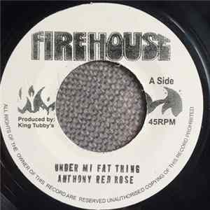 Anthone Red Rose - Under Me Fat Thing mp3