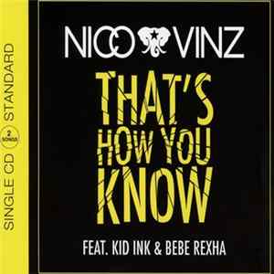 Nico & Vinz Feat. Kid Ink & Bebe Rexha - That's How You Know mp3