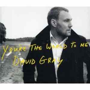 David Gray - You're The World To Me mp3