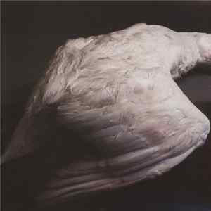 Amenra - Mass VI mp3