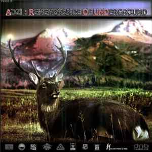 ADZi - Remembrance Of Underground mp3