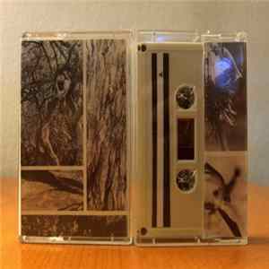 Collector - The Blooms mp3